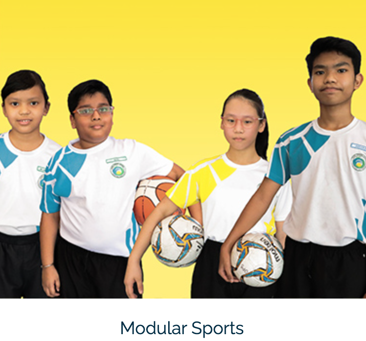 modular sports