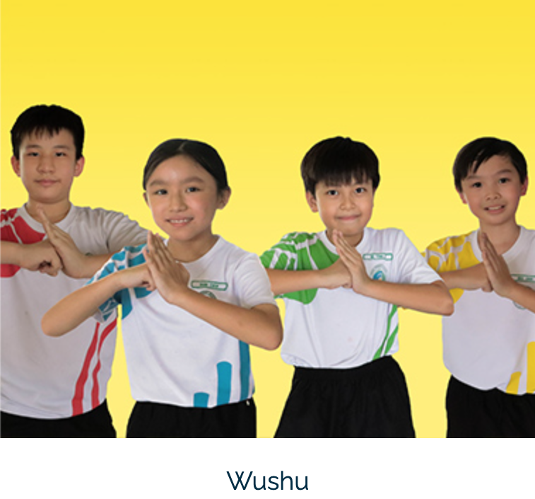 wushu